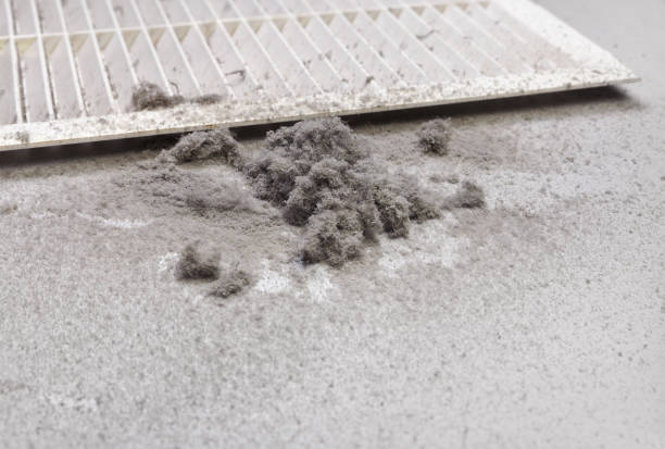 Best Home Air Vent Cleaning  in Thorntown, IN