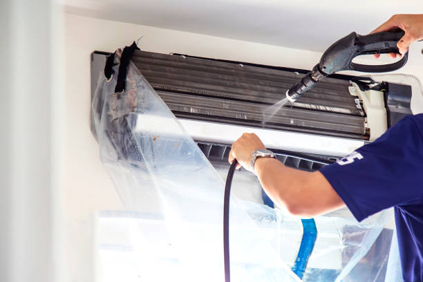 Best Professional Duct Cleaning Services  in Thorntown, IN